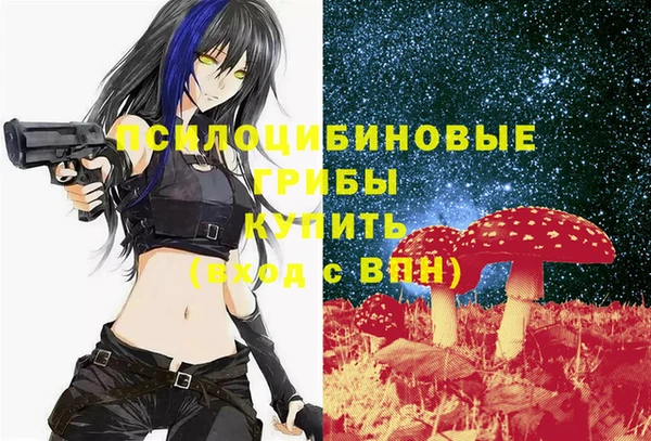PSILOCYBIN Лабытнанги